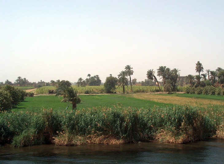 Paisaje de los bordes del río Nilo (Egipto)
